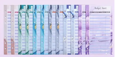 A6 Binder Budget Sheets - £2 per pack A6 Binder Budget Sheets